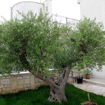 Holiday home Trullo Vecchio Olivo Alberobello
